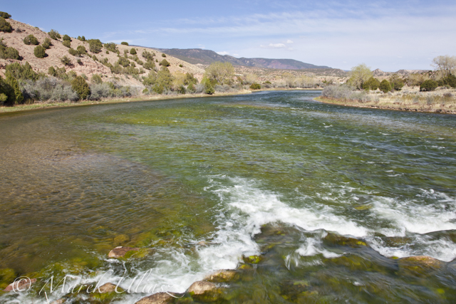 Green River at Browns Park, Utah