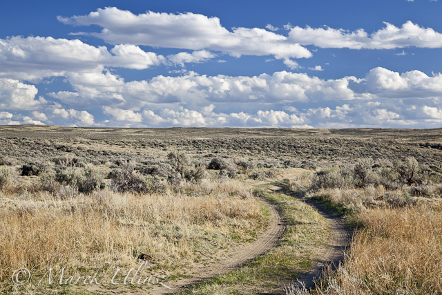 sagebrush high desert, Wyoming