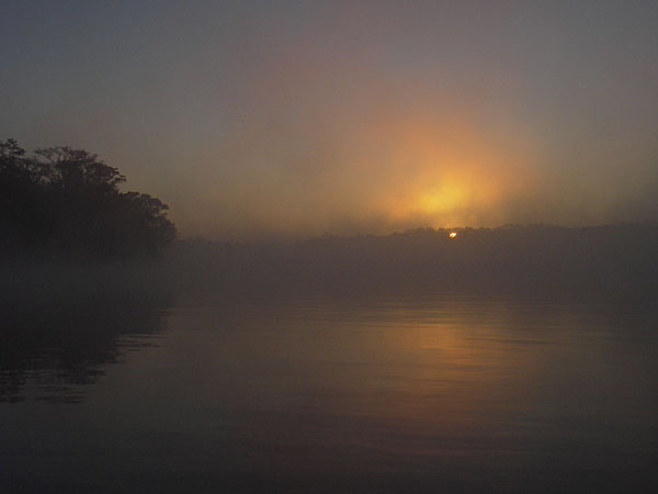 foggy sunrise over Suwannee River, Florida