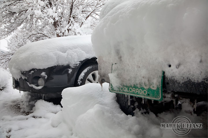 snowstorm in Fort Collins