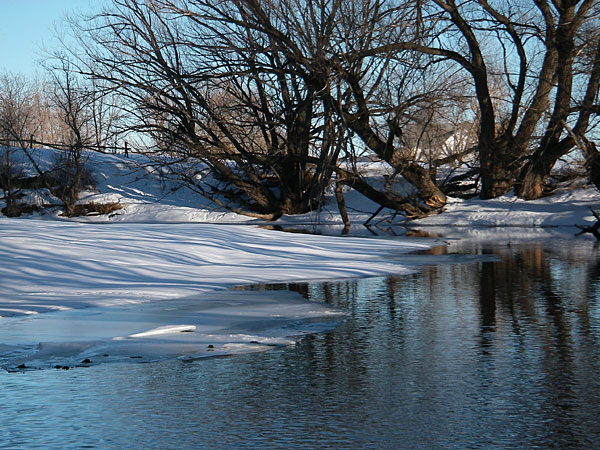Cache la Poudre river in winter