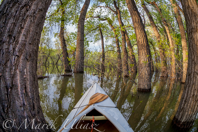 canoe paddling in fisheye lens perspective