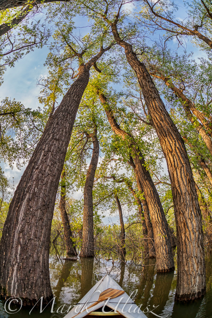 canoe paddling in fisheye lens prespective