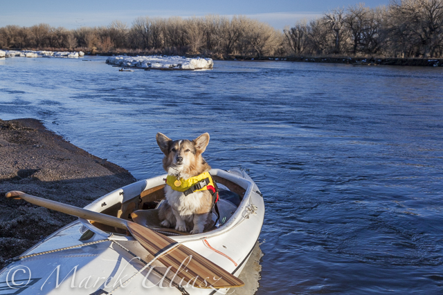 Scouting and Paddling the South Platte River after 2013 Flooding