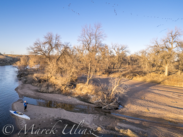 Paddling and Flying with Geese at St Vrain and South Platte Confluence ...