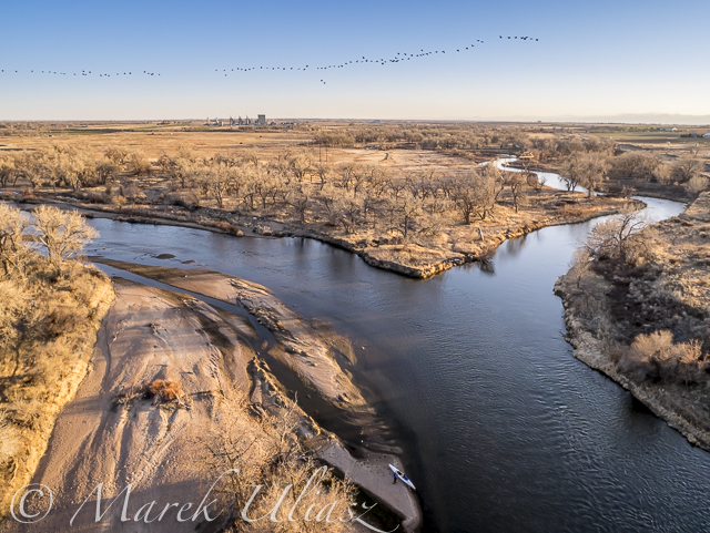 Paddling and Flying with Geese at St Vrain and South Platte Confluence